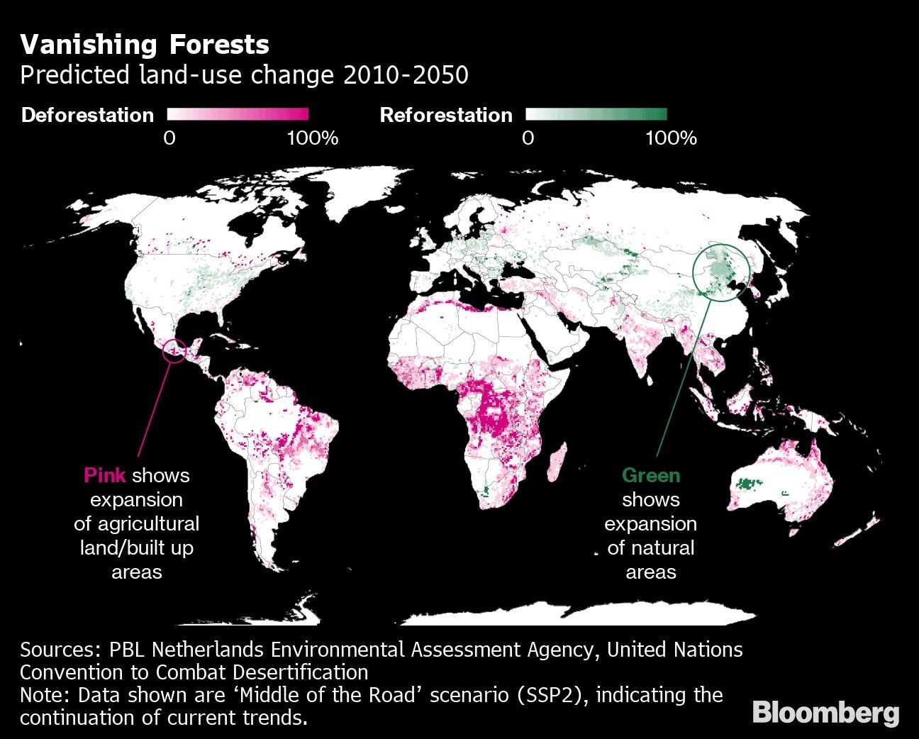 Vanishing Forests