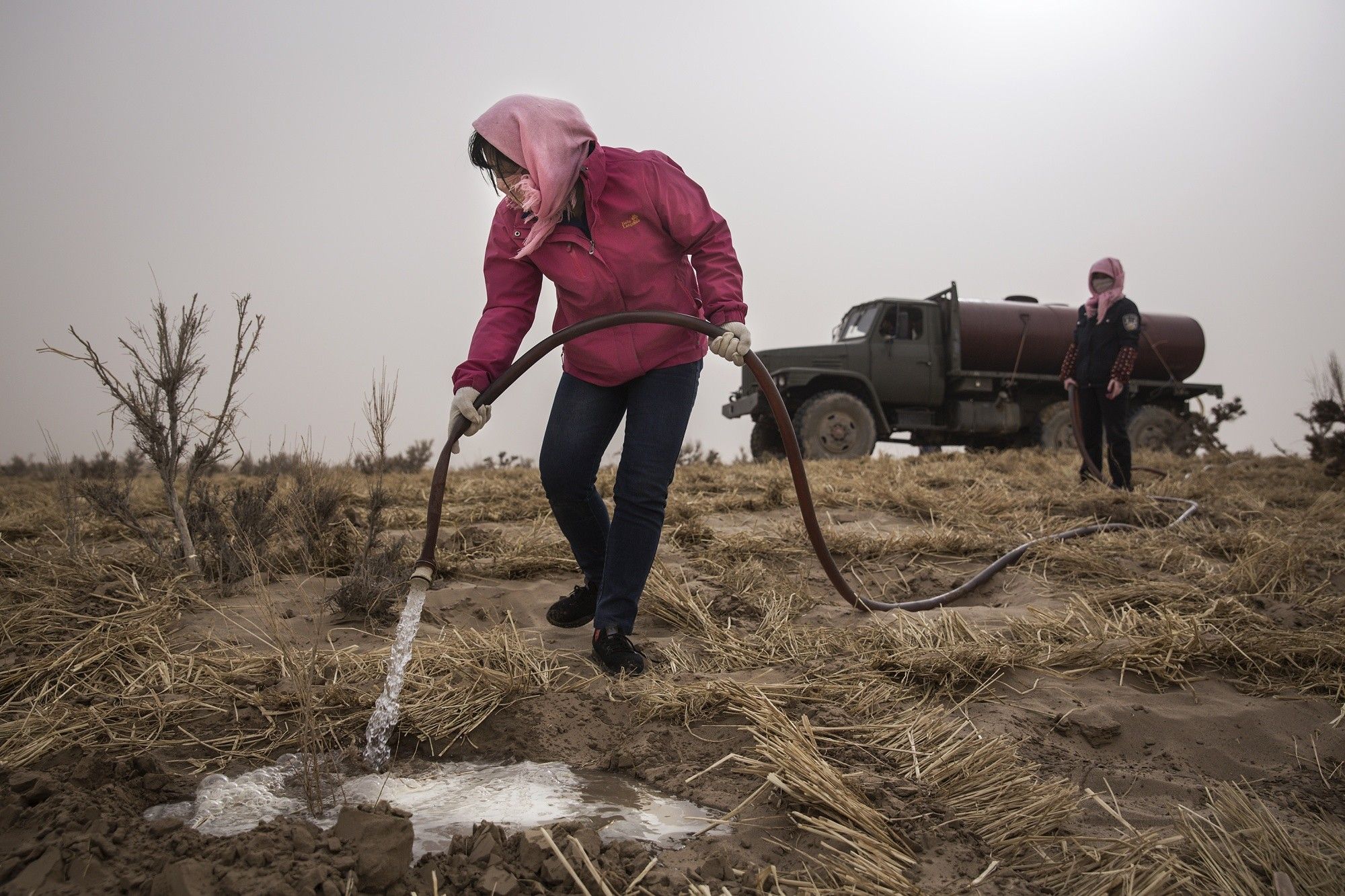 China Strives To Combat Desertification For Sustainable Development