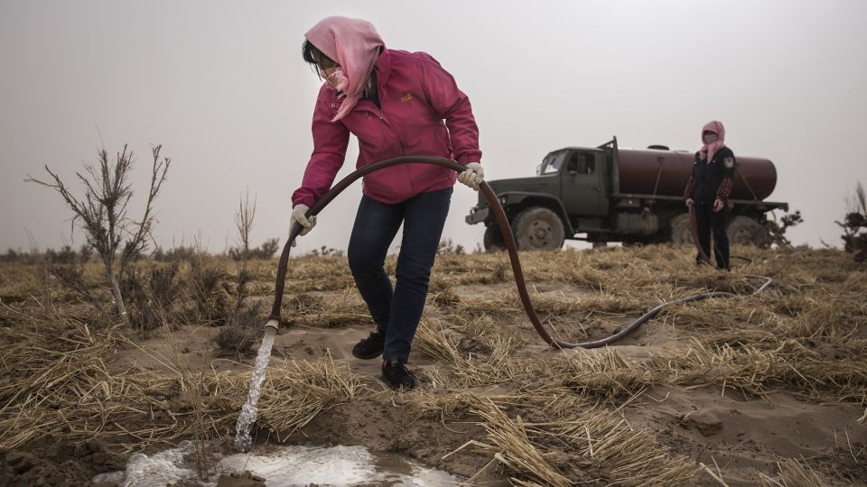 China Strives To Combat Desertification For Sustainable Development