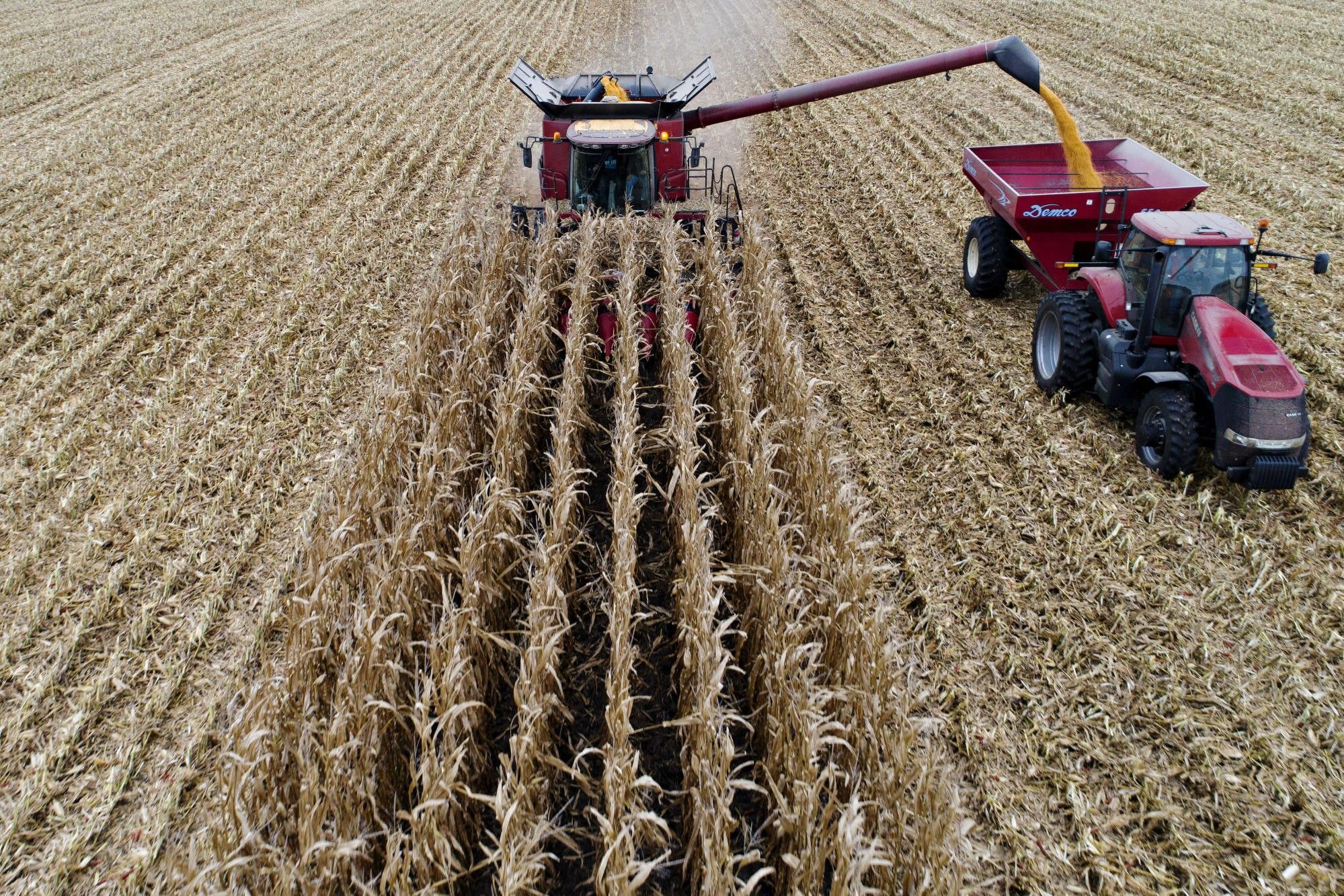 Chinese Buyers Return to Market for U.S. Soy After Tariff Waivers Granted