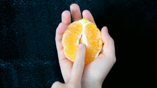 ¿Cuántos tipos de vulva existen?