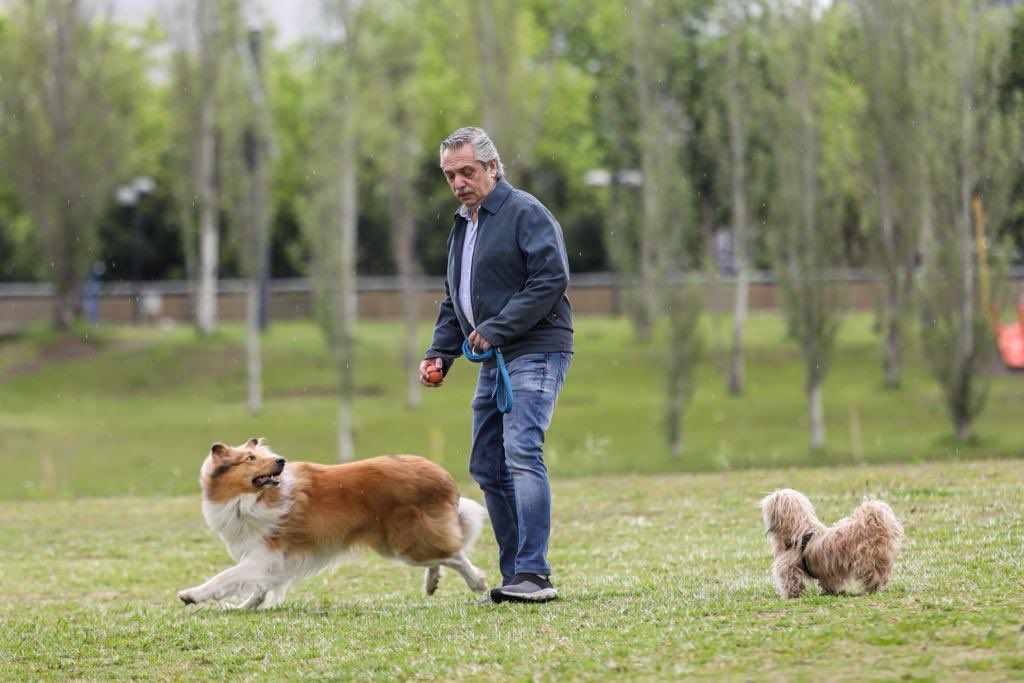 Alberto Fernández junto a su perro Dylan-Elecciones 2019