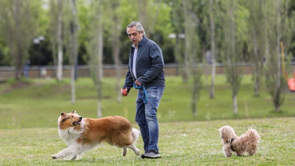 Alberto Fernández-Elecciones 2019