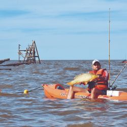 Logramos grandes carpas en kayak fishing en La Pajarera de Quilmes. 