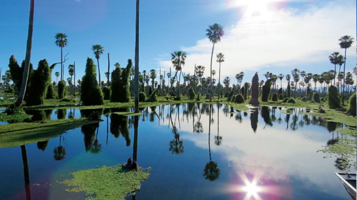En Formosa, es el segundo humedal más grande del país. Tiene una flora y fauna exuberantes, y sus guías realizan paseos entre sus “canales”. | Foto:Fotos: gentileza Booking.com, Operadora Receptiva Diego Bregant Viajes, www.playasdereta.com.ar y Agencia Córdoba Turismo.
