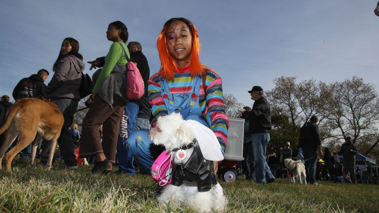 Perros en Halloween