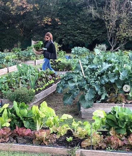 En la huerta que la gente de INTA montó en Olivos, Juliana Awada recoge vegetales. 