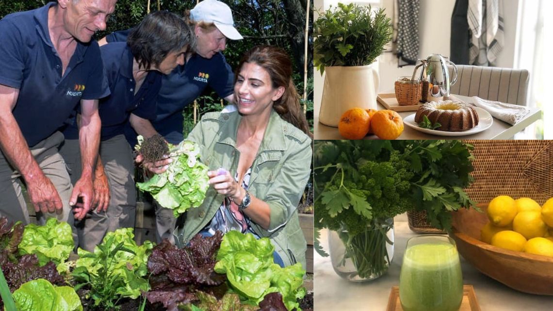 Recetas de cocina de clara raíz naturista, publicadas en Instagram por Juliana Awada. | Foto:Instagram