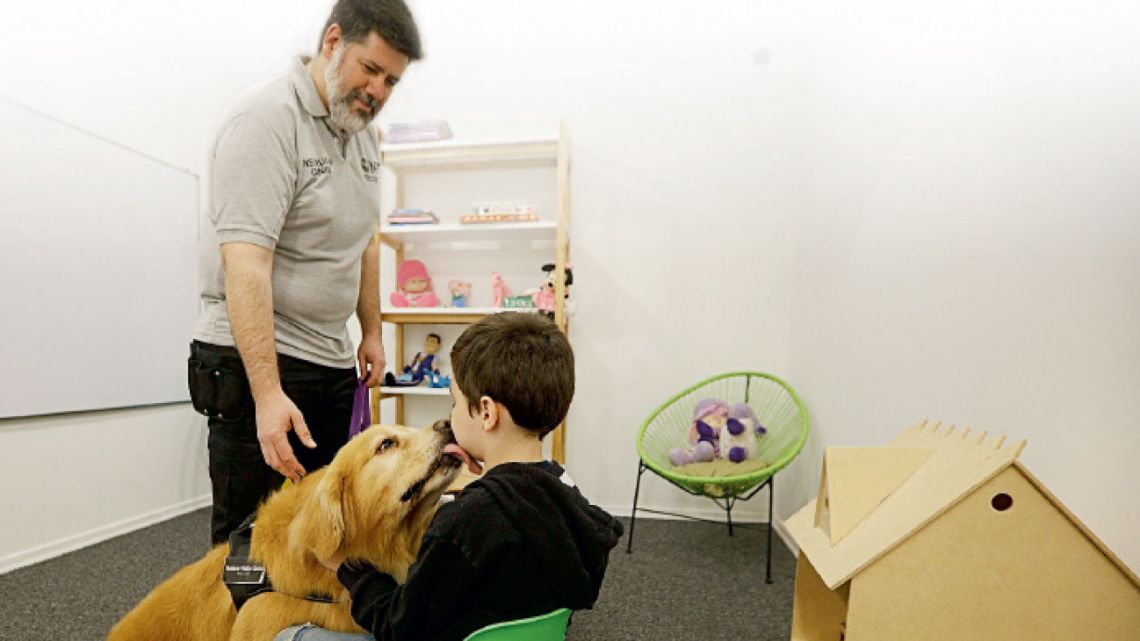 Con el programa "Perros de Terapia para Asistencia Judicial", buscan crear un ambiente ameno antes de que los chicos declaren. Es la primera vez que se implementa en el país. | Foto:Fotos: Gentileza Ministerio Público Tutelar.