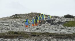 Buscadores de minas terrestres de Zimbabwe limpian las Islas Malvinas