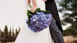 hortensias-novias-26112019