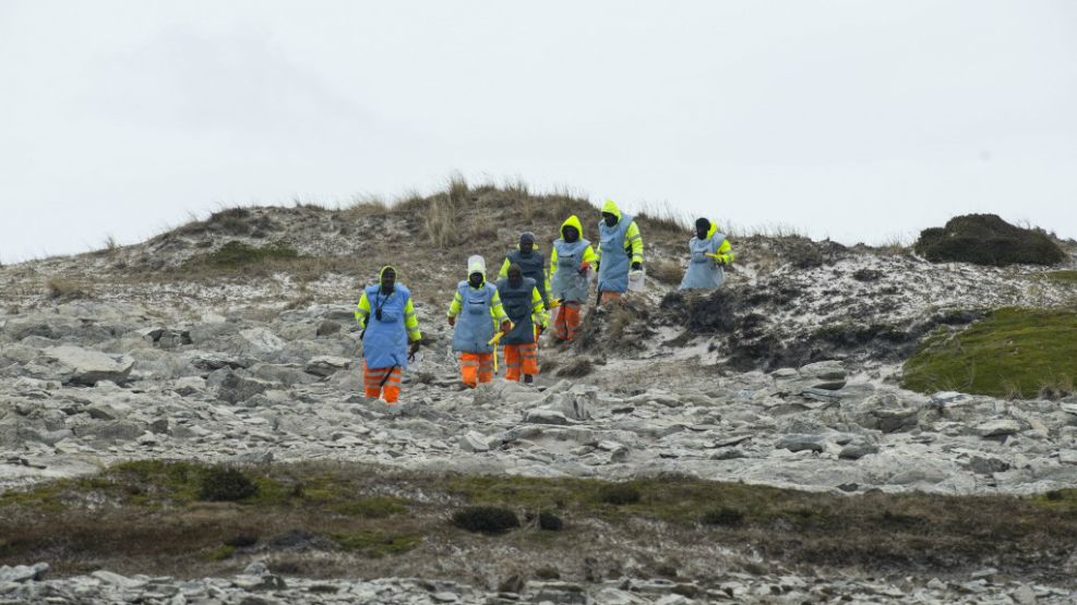 Buscadores de minas terrestres de Zimbabwe limpian las Islas Malvinas
