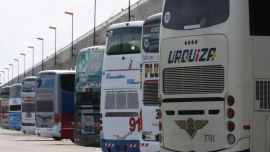La Semana del Bus ofrecerá descuentos hasta del 70 % en pasajes de diciembre a mayo 2020.