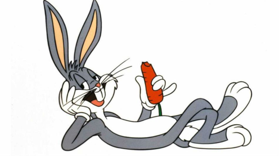 1104_bugs