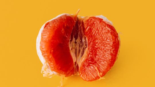 ¿Que tenemos las mujeres entre las piernas? 