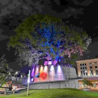 Celebridades participaron de un festival a beneficio que duró 9 horas