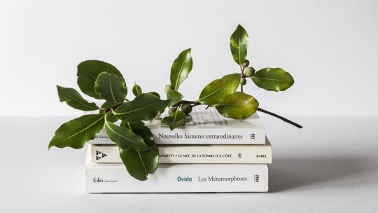 ¿Cómo llevar un estilo de vida más minimalista?