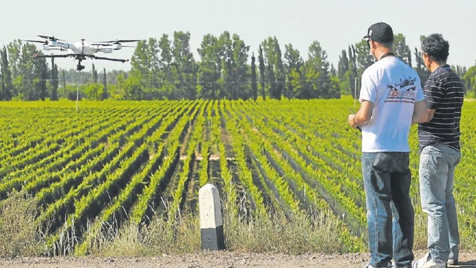 VANT. Los drones monitorean y pulverizan las viñas. Agrovants trabaja desde hace 2 años en viticultura con Vehiculos Aéreos no Tripulados.