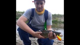 La tarucha rara vez se encuentra en lugares profundos por lo cual, si nos metemos en el río, lo ideal es buscarla en las costas.