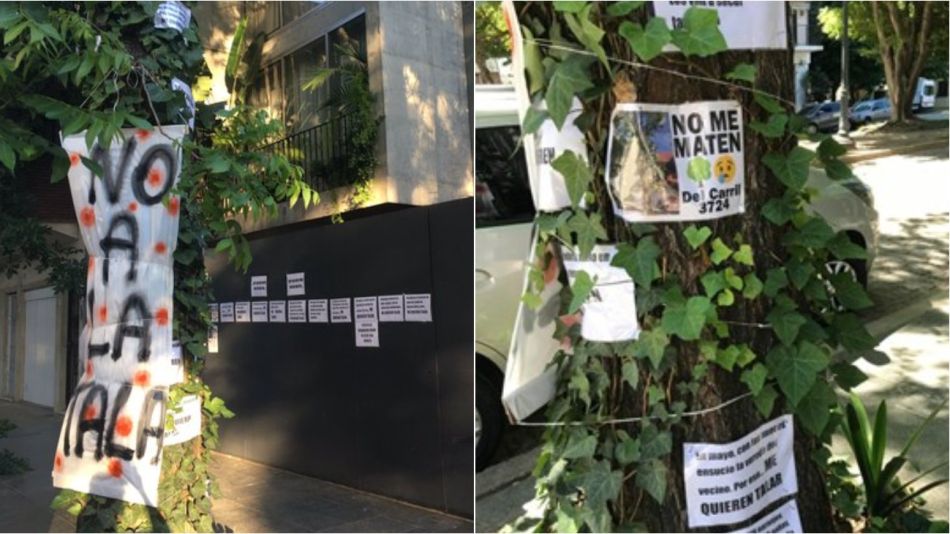 arbol tala 13112019