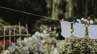 Descubrí a las marcas sustentables del país