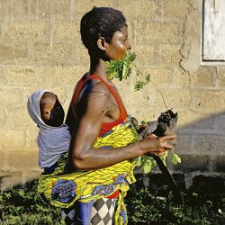 Las mujeres tomaron la posta del nuevo orden económico de África