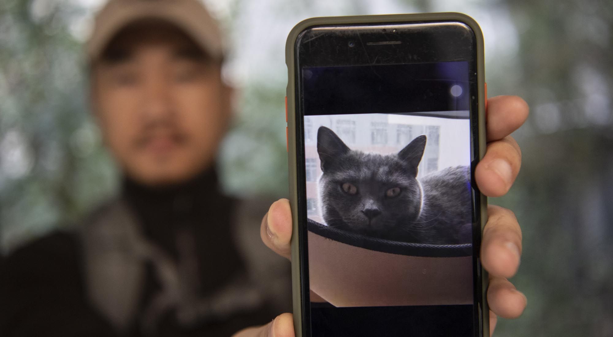 Sun Jinrong en busca del gato Duoduo