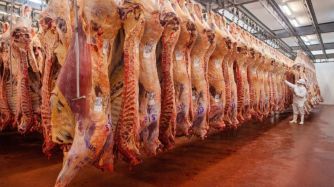 Las 19 plantas, se suman a los 6 frigoríficos de carne vacuna habilitados por el mismo destino días atrás.
