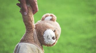 Oso de peluche