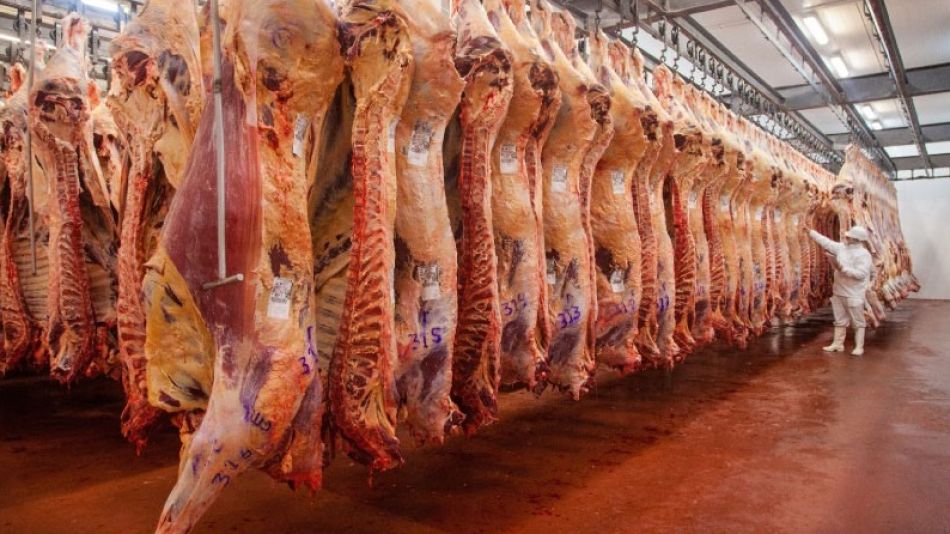 Las 19 plantas, se suman a los 6 frigoríficos de carne vacuna habilitados por el mismo destino días atrás.