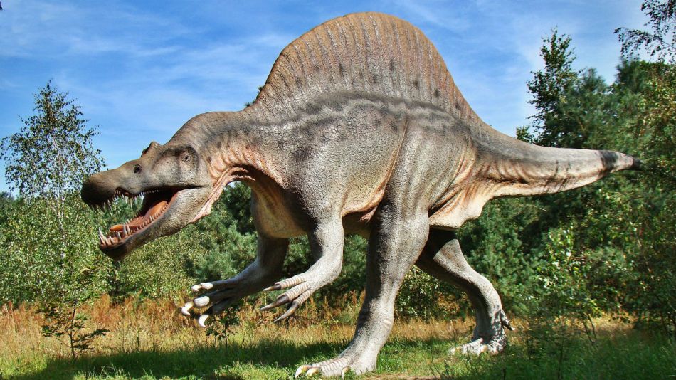 Los dinosaurios se extinguieron hace 65 millones de años.
