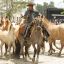 Argentina's true gaucho tradition celebrated in San Antonio de Areco