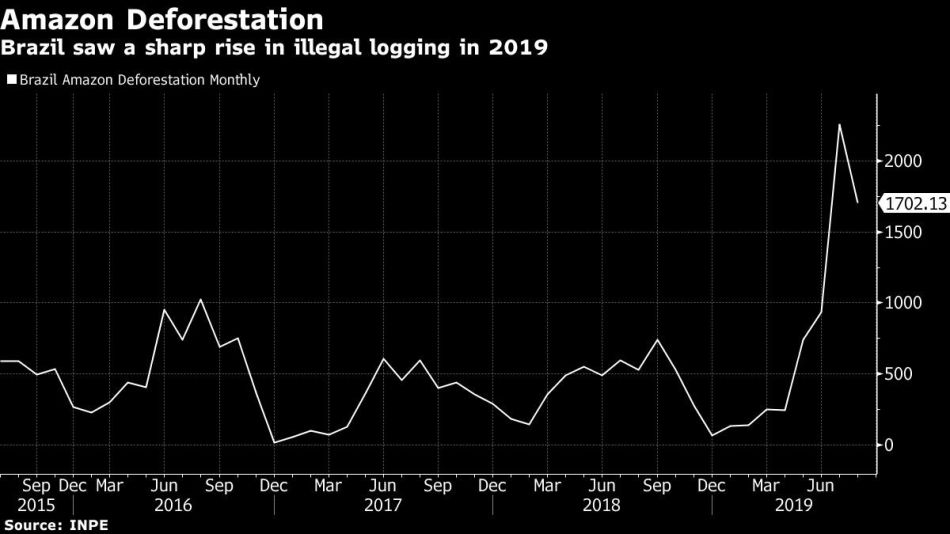 Brazil saw a sharp rise in illegal logging in 2019