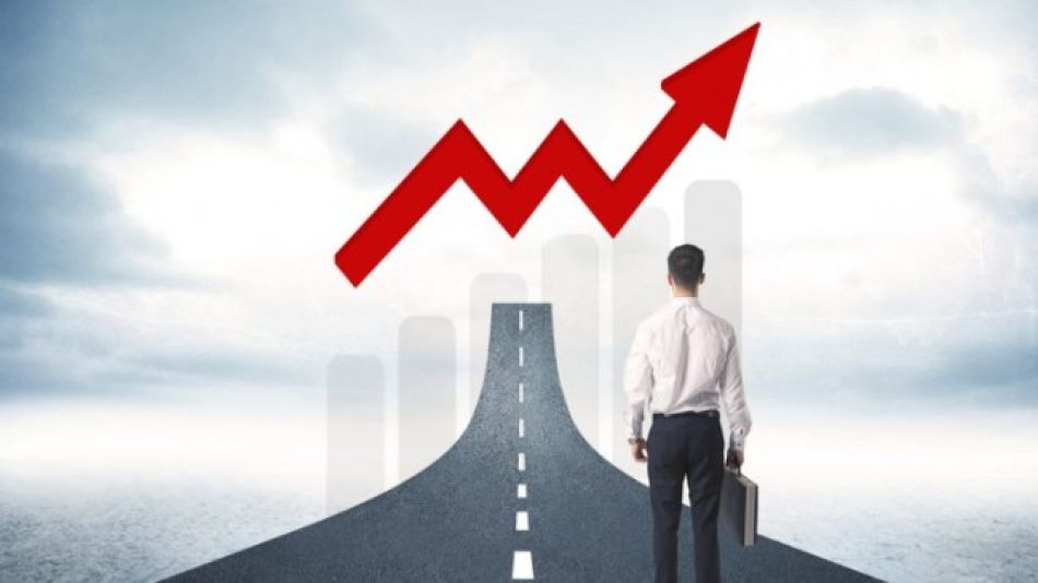 Opción de inversión frente a la crisis financiera