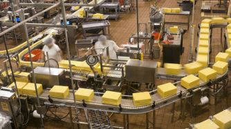Dos informes confirman el retroceso de la industria