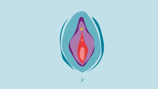 Clítoris: todo lo que tenés que saber