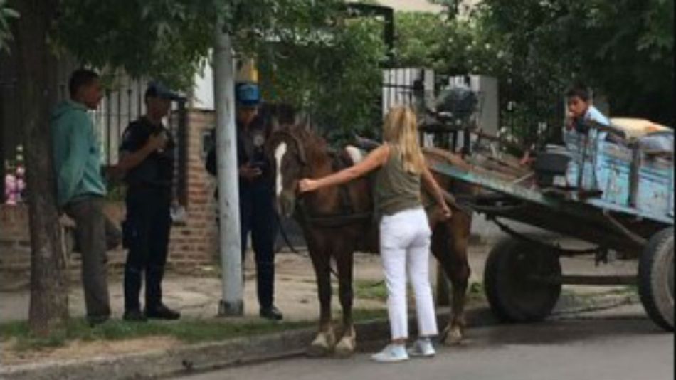 caballo rescate 27112019