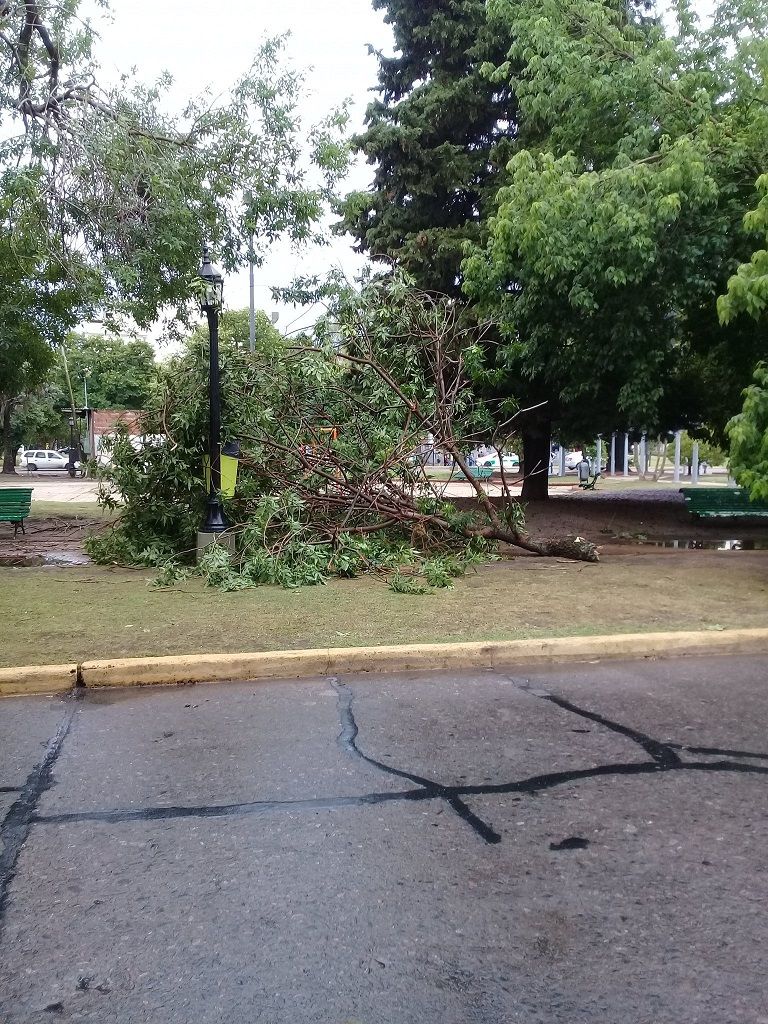 Tormenta en La Plata