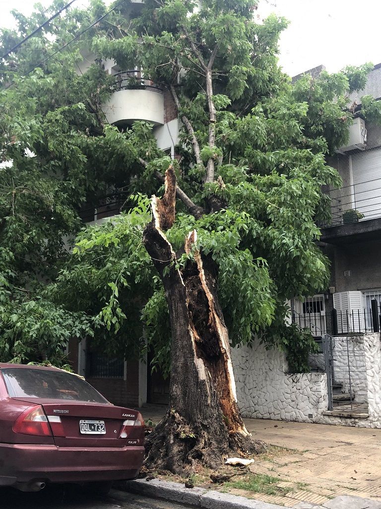 Tormenta en Vicente López
