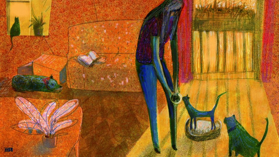 selva almada ilustracion marta toledo 20191129