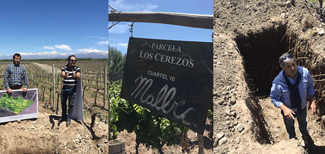 ¿2019, la mejor cosecha?
