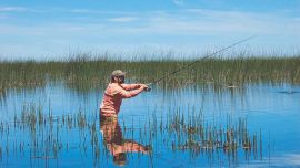 La clave: trabajar mucho las plop y el sonajero entre los juncos para despegar las taruchas del fondo.