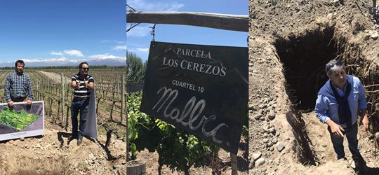 ¿2019, la mejor cosecha?