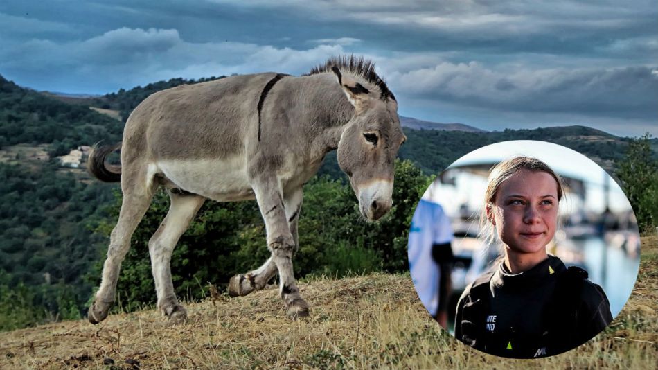 La activista sueca Greta Thunberg llegó a Lisboa en velero.