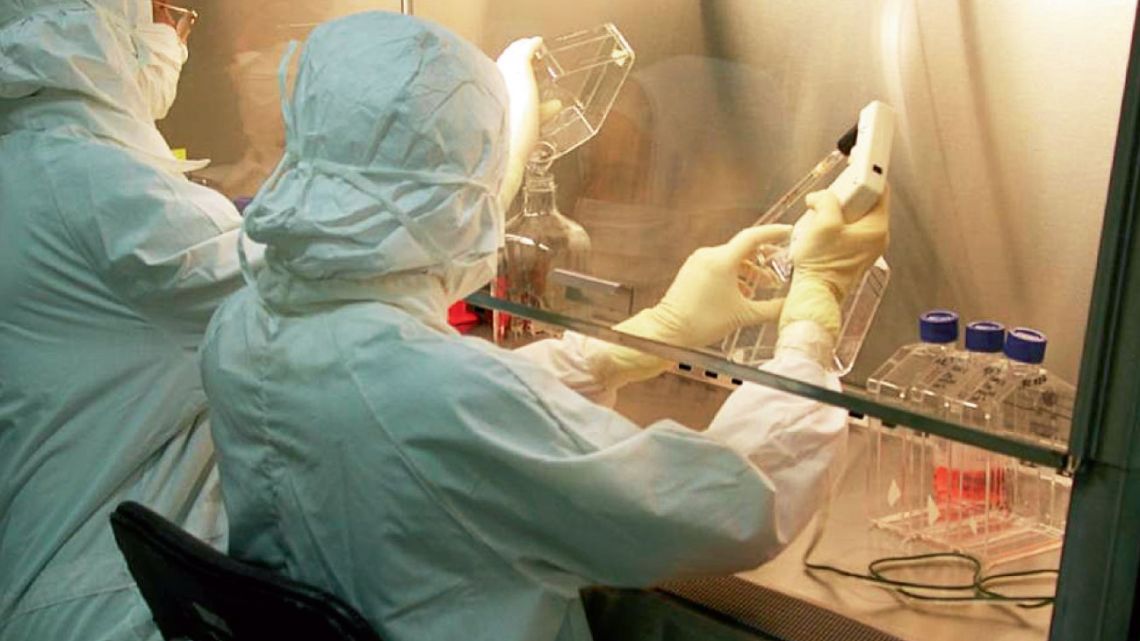 Ciencia | Foto:Foto: Instituto Nacional de Enfermedades Virales Humanas (INEVH).