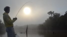 En determinadas fases de la luna los peces tenían mucha mayor actividad que en otras.