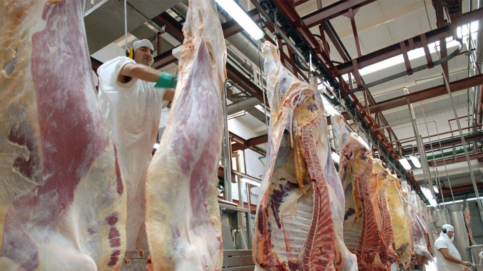Carne de res