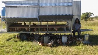 CUIDADOS. Estas instalaciones móviles contribuyen al bienestar animal y a realizar un mejor aprovechamiento de la tierra disponible.