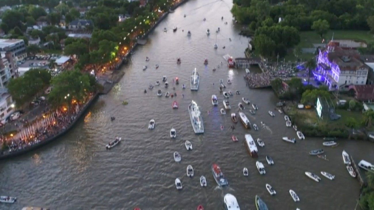 Tigre dia de la virgen