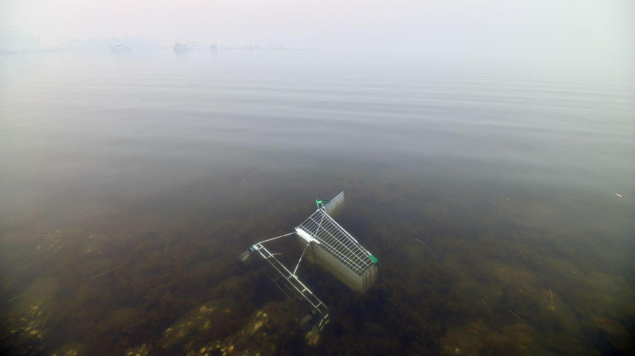 La ciudad de Sidney quedó envuelta en una neblina tóxica.